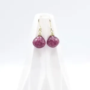 Gold Fill Ruby Drop Earring